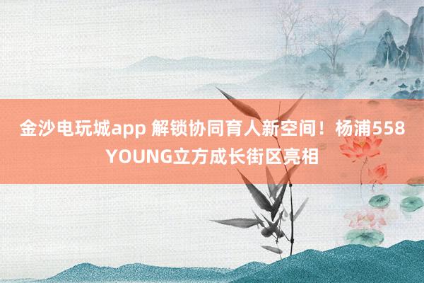 金沙电玩城app 解锁协同育人新空间！杨浦558YOUNG立方成长街区亮相