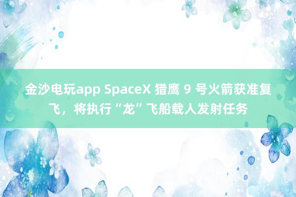 金沙电玩app SpaceX 猎鹰 9 号火箭获准复飞，将执行“龙”飞船载人发射任务
