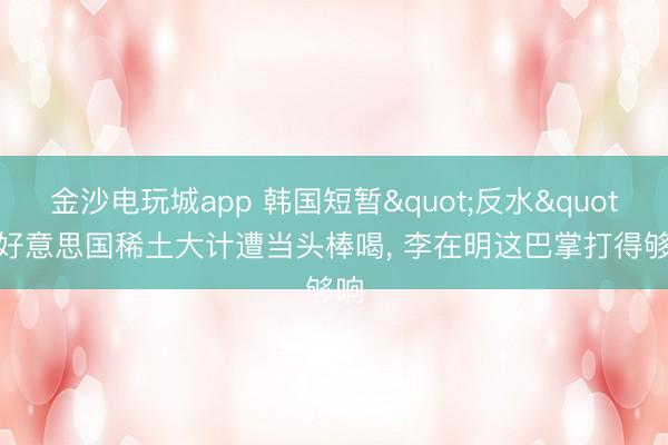 金沙电玩城app 韩国短暂"反水"! 好意思国稀土大计遭当头棒喝， 李在明这巴掌打得够响